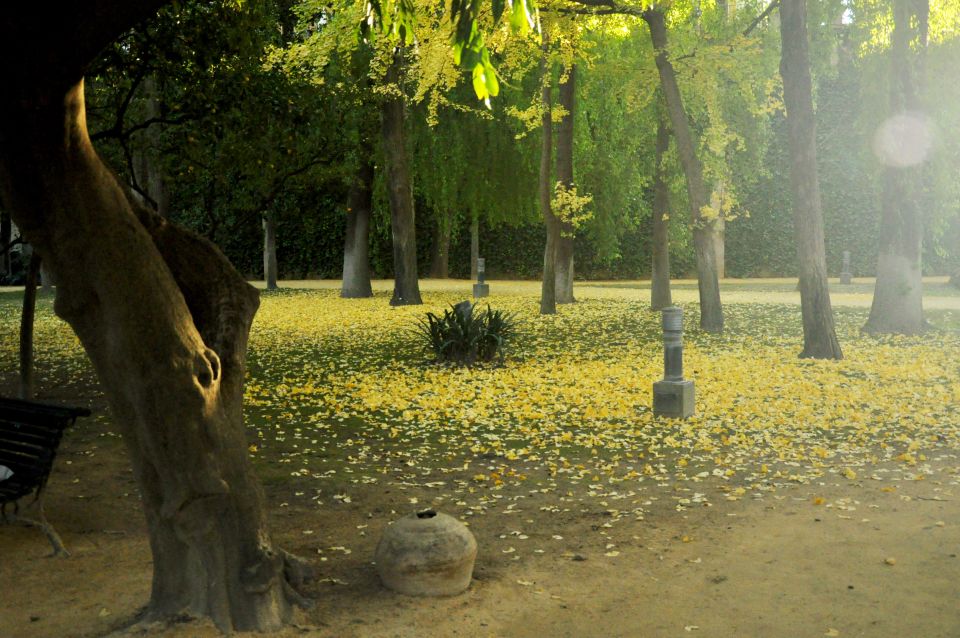 Alcázar of Seville Skip-the-Line Tickets and Guided Tour - Price and value: is $44 a good deal for Alcázar time?