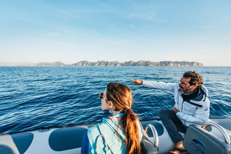 Alcudia or Can Picafort: Dolphin-Watching Cruise - Key highlights at a glance