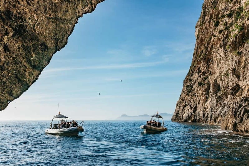 Alcudia or Can Picafort: Dolphin-Watching Cruise - The boat ride reality check: fast, close, and a little rollercoaster