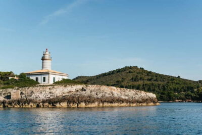 Alcudia or Can Picafort: Dolphin-Watching Cruise - Timing your day: sunrise vs afternoon cruise