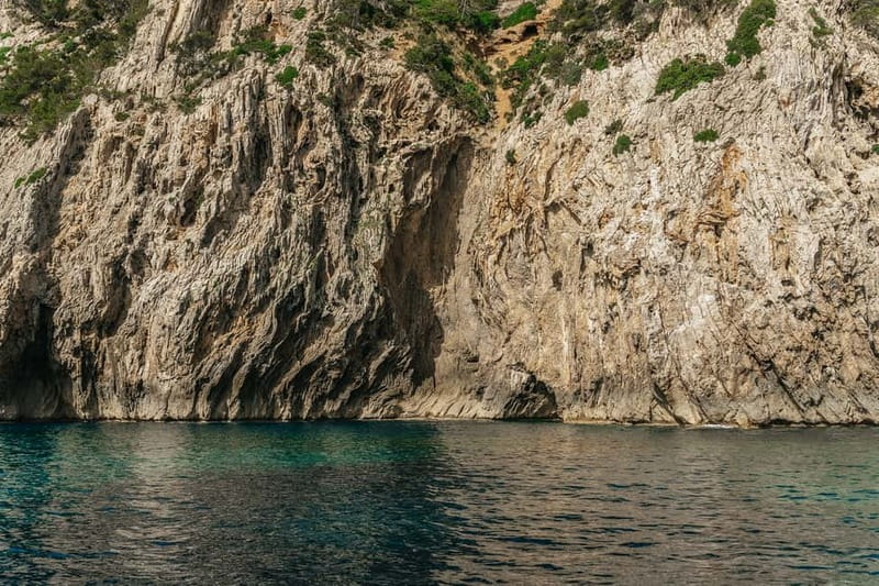 Alcudia or Can Picafort: Dolphin-Watching Cruise - Dolphin spotting the ethical way: pods, patience, and distance