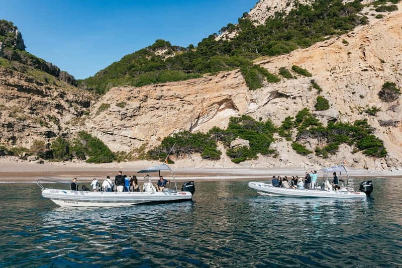 Alcudia or Can Picafort: Dolphin-Watching Cruise - Sea caves: the fun kind of sightseeing