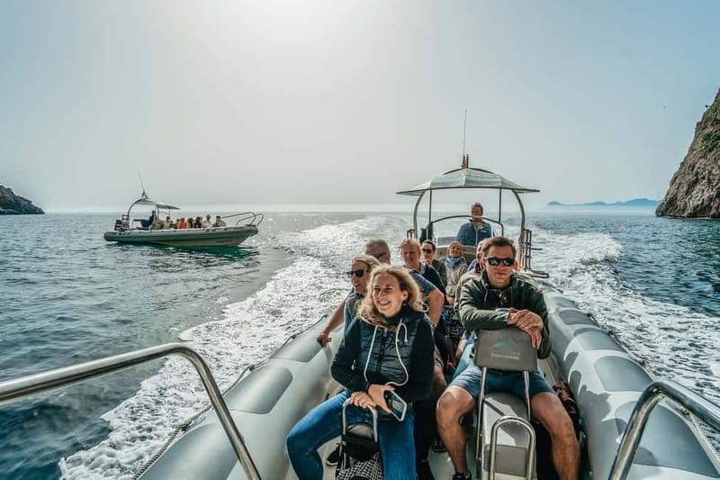 Alcudia or Can Picafort: Dolphin-Watching Cruise - Es Coll Baix swimming stop: the best payoff, but manage your expectations