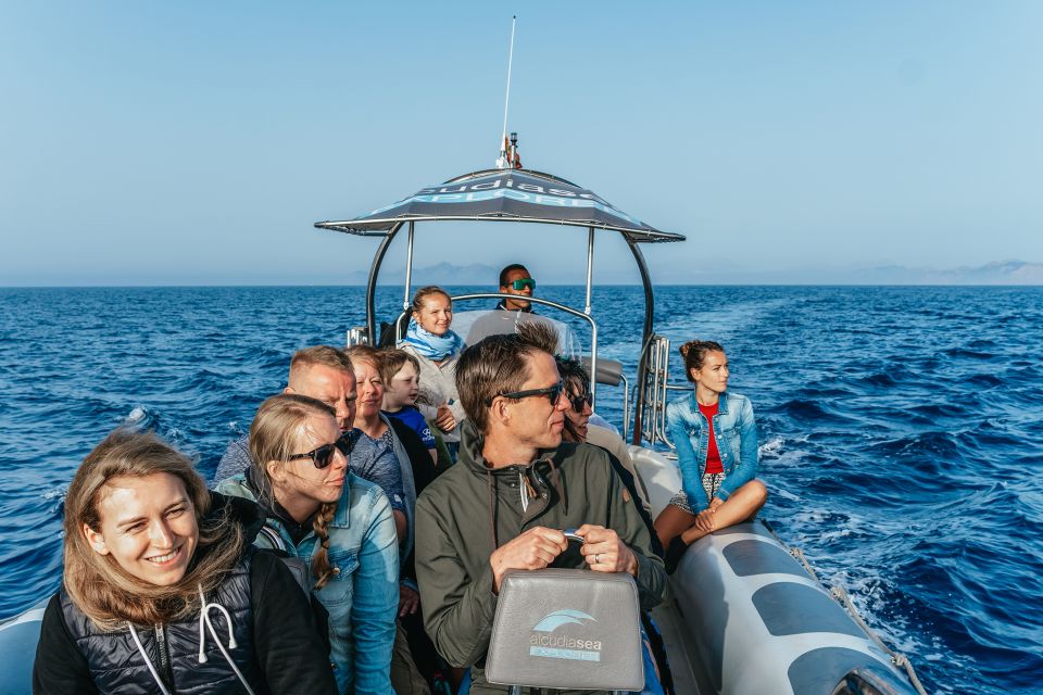 Alcudia or Can Picafort: Dolphin-Watching Cruise - Price and value: is $100 per person fair for 3 hours?