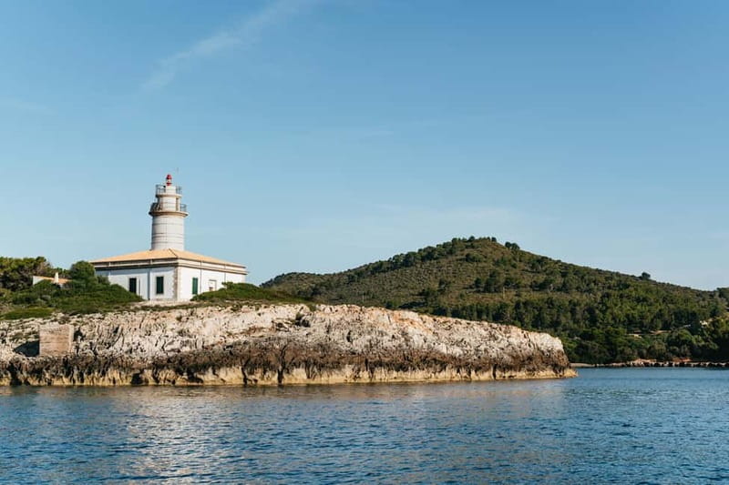 Alcudia or Can Picafort: Dolphin-Watching Cruise - Timing your day: sunrise vs afternoon cruise