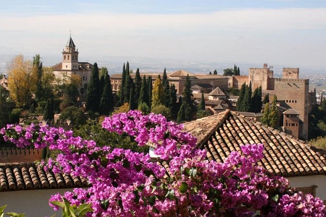 Alhambra &Charles Palace Guided Tour with Optional Nasrid Palaces - Alcazaba Fortress and the forest option: choose based on your ticket reality