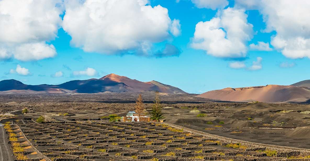 Arrecife: Timanfaya and Green Lagoon for Cruise Passengers - Timanfaya and Green Lagoon: Why This Works for a Cruise Stop