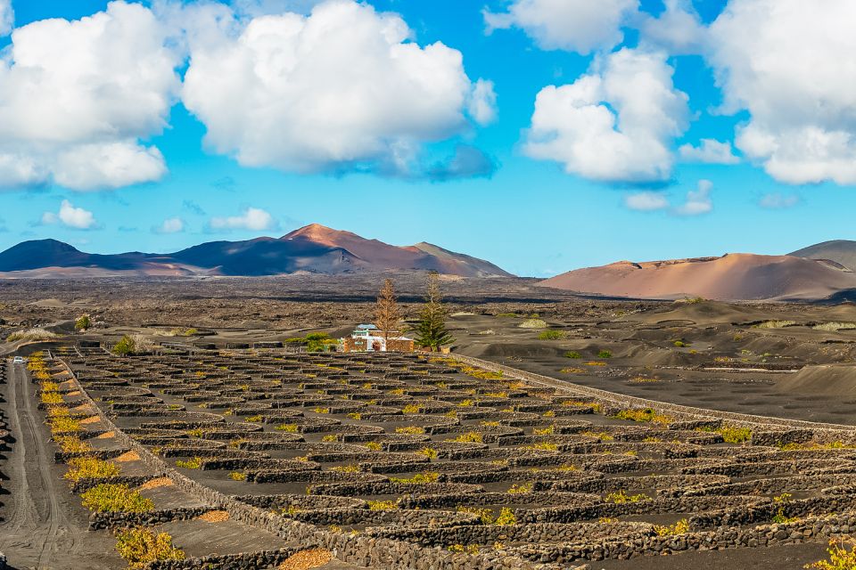 Arrecife: Timanfaya and Green Lagoon for Cruise Passengers - Getting From the Cruise Terminal to the Bus: Fast and Clear