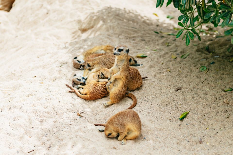 Barcelona: 1-Day Ticket to Barcelona Zoo - Potential Downsides to Consider Before You Go