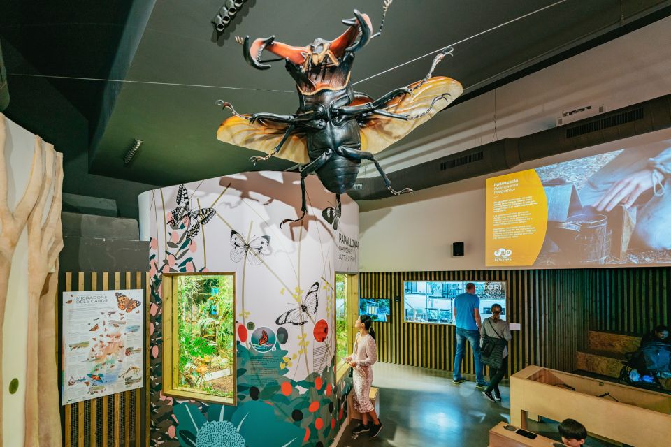 Barcelona: 1-Day Ticket to Barcelona Zoo - Getting Into Zoo de Barcelona Without Wasteful Waiting