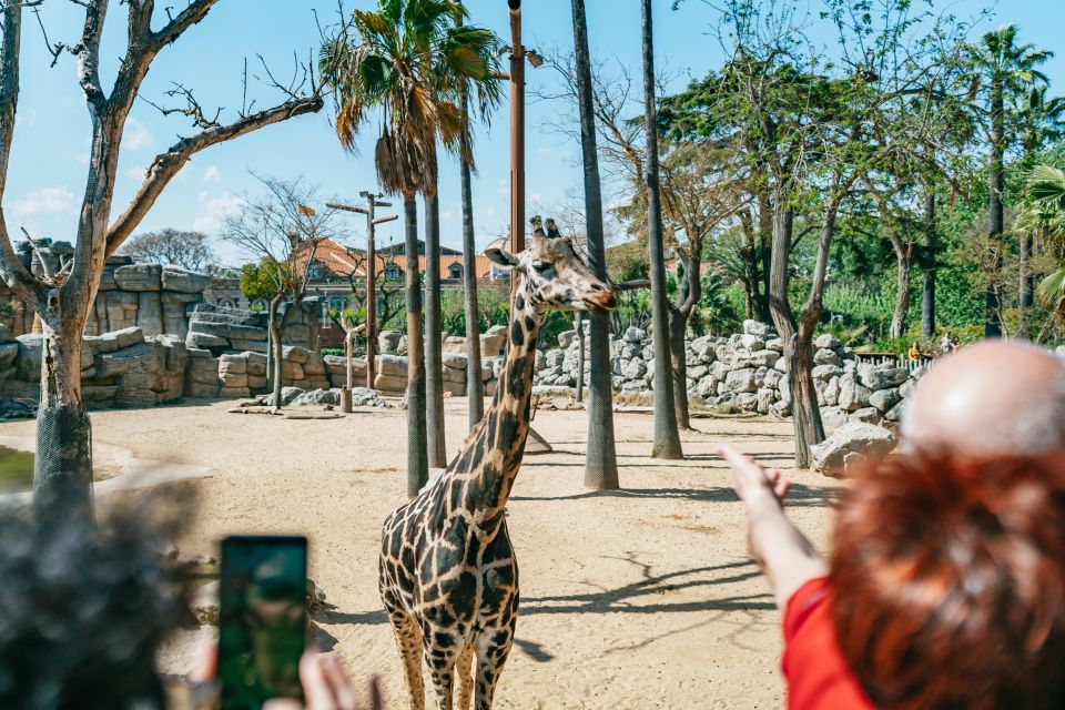 Barcelona: 1-Day Ticket to Barcelona Zoo - Your Walk Strategy: How to Spend a Full Day Without Getting Tired Fast