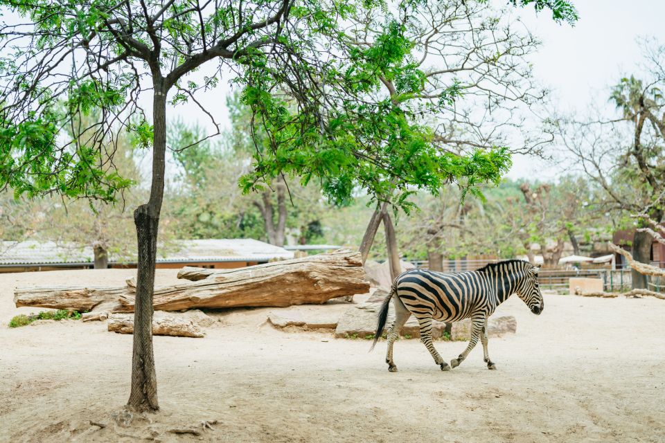 Barcelona: 1-Day Ticket to Barcelona Zoo - Conservation Messaging: Why It Feels More Than Just a Walk