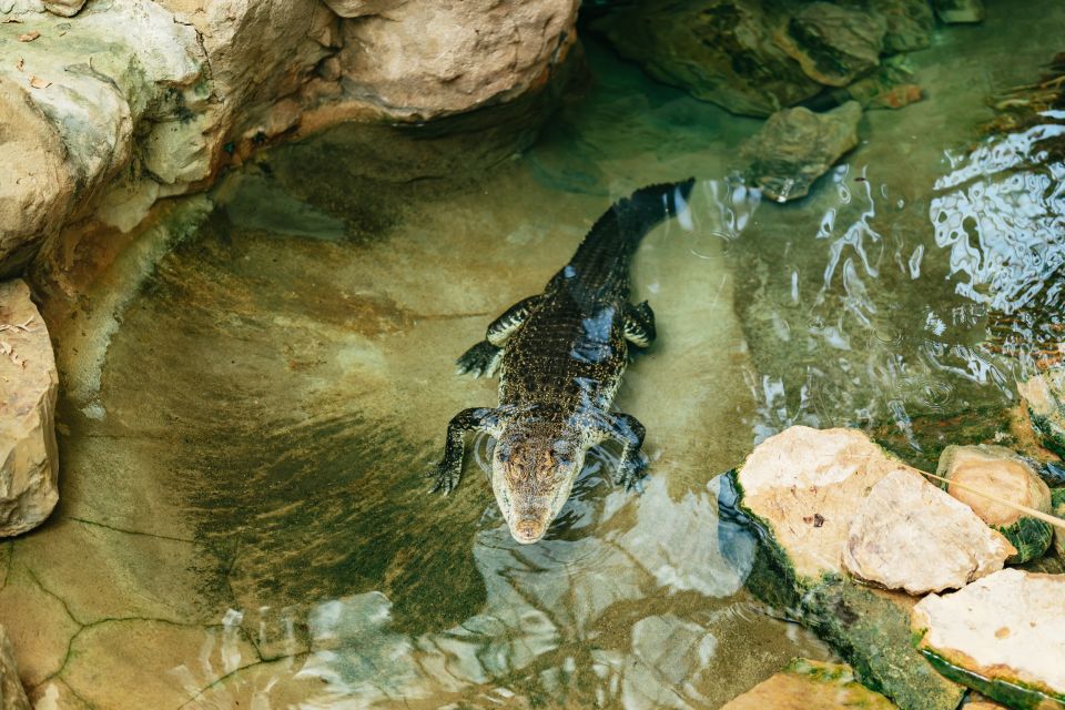 Barcelona: 1-Day Ticket to Barcelona Zoo - Food, Restrooms, and the Realities of On-Site Eating