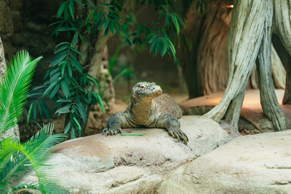 Barcelona: 1-Day Ticket to Barcelona Zoo - Price and Value: Is $27 Worth It?