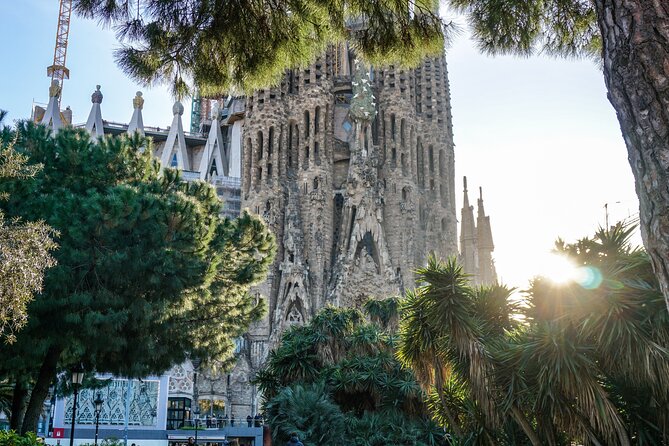 Barcelona all included: Sagrada, Park Güell, Montjuic & Gothic - Montjuïc by private transport: viewpoints, Olympic sites, and MNAC views