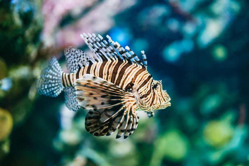 Barcelona Aquarium: Entry Ticket - Food, shop, and comfort stops you’ll want
