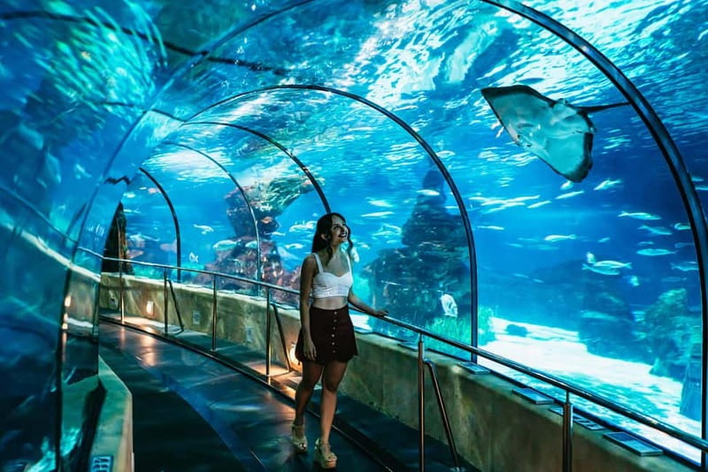 Barcelona Aquarium: Entry Ticket - 80+ aquariums: Mediterranean, tropical, and conservation themes