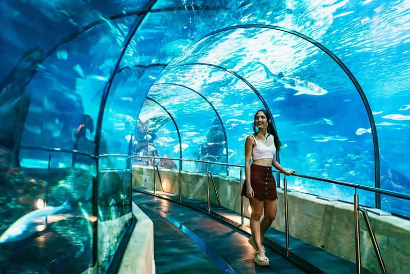 Barcelona Aquarium: Entry Ticket - Journey to the Depths: the tech room you’ll remember