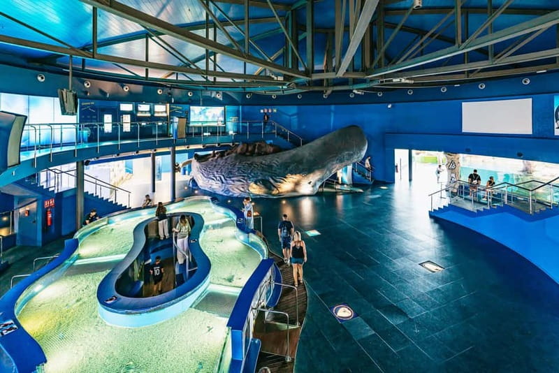Barcelona Aquarium: Entry Ticket - Mangroves and SOS Oceans: learning through play