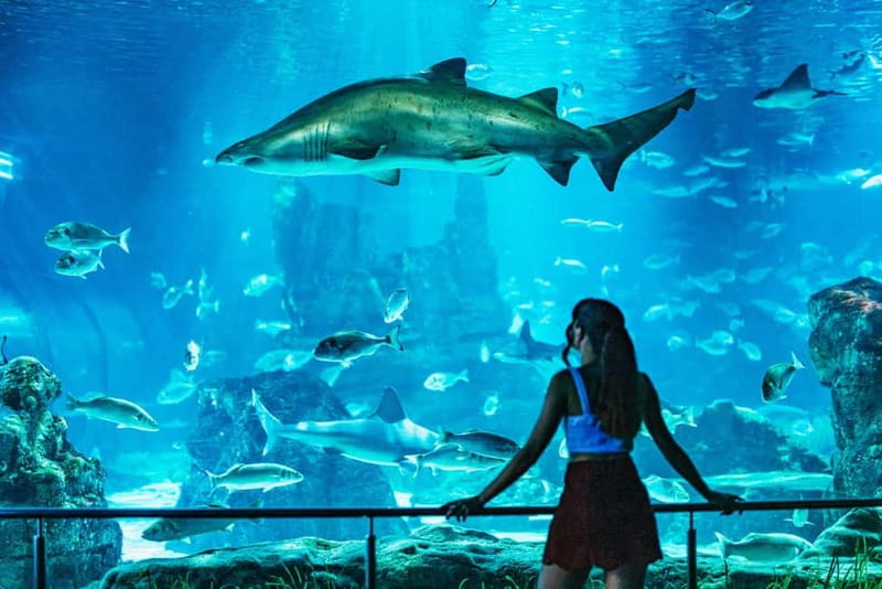 Barcelona Aquarium: Entry Ticket - Planeta Aqua: a water-focused hands-on exhibition