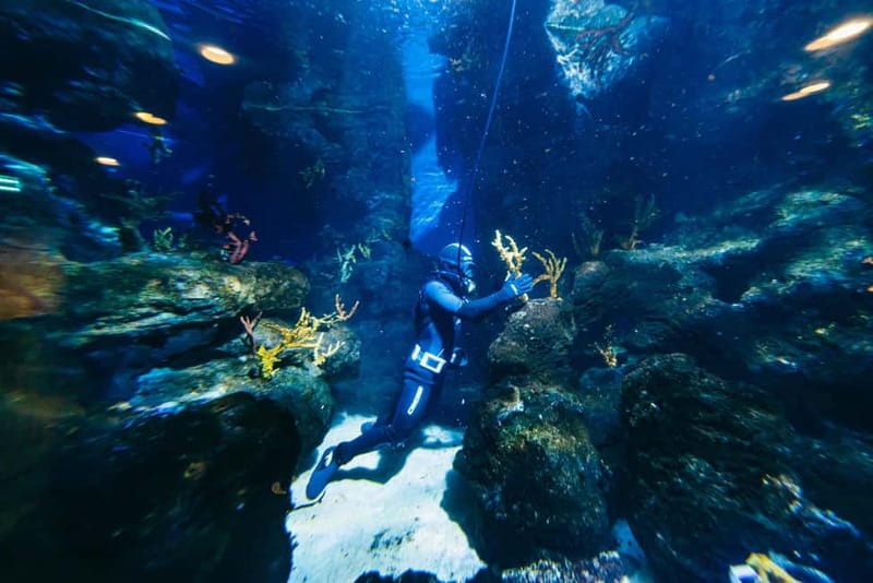 Barcelona Aquarium: Entry Ticket - Timing and pacing: how long you need and when to arrive