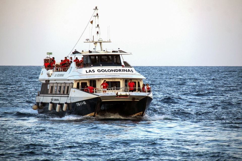 Barcelona: Boat Tour in Las Golondrinas - Accessibility in Barcelona’s port: wheelchair access with a real-world note