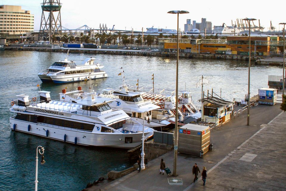 Barcelona: Boat Tour in Las Golondrinas - Should you book this Barcelona boat tour?