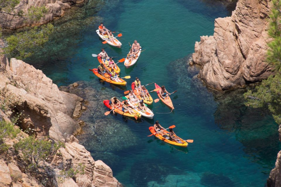 Barcelona: Costa Brava Kayak, Snorkel & Cliff Jump & Lunch - Snorkeling in the Mediterranean: great when it clicks