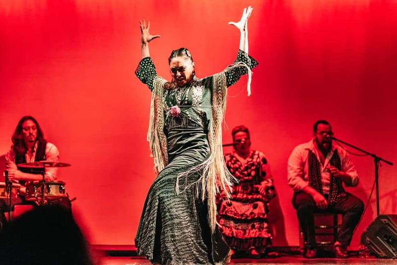 Barcelona: Flamenco Show at the Theater - Key Highlights Before You Go
