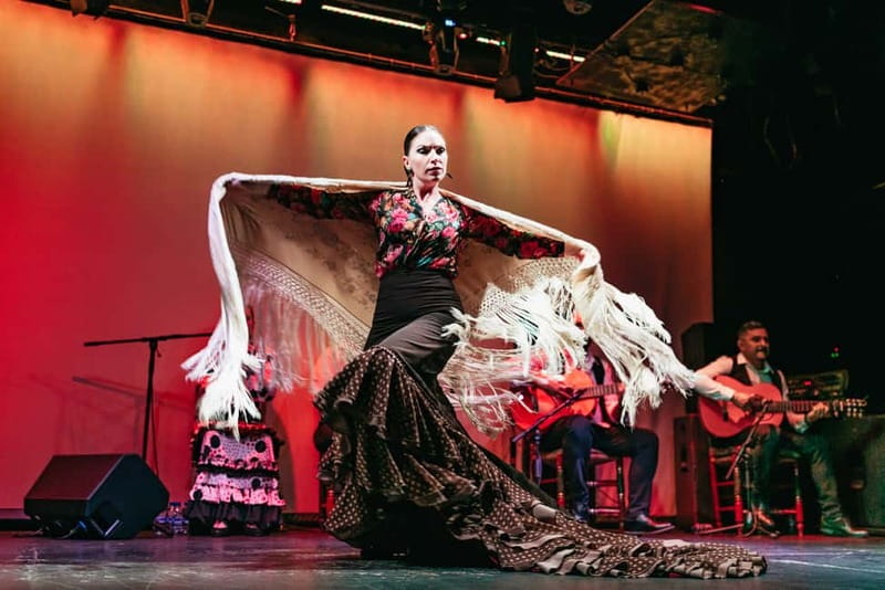 Barcelona: Flamenco Show at the Theater - Who You’ll See: Dancers, Singers, Guitar, and Percussion
