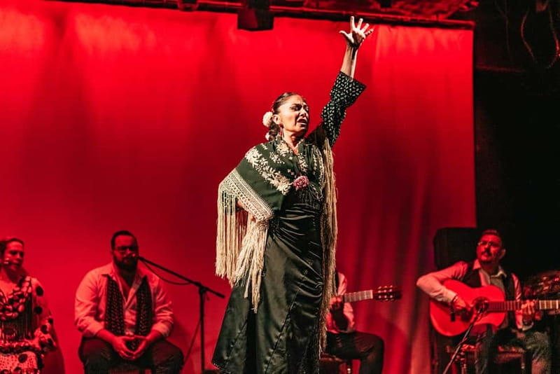 Barcelona: Flamenco Show at the Theater - Price and Value: Is $29 a Good Deal?
