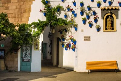 Barcelona: Flamenco Show with Dinner at Tablao de Carmen - Two Show Times: How to Pick the Slot and Use Your Waiting Time