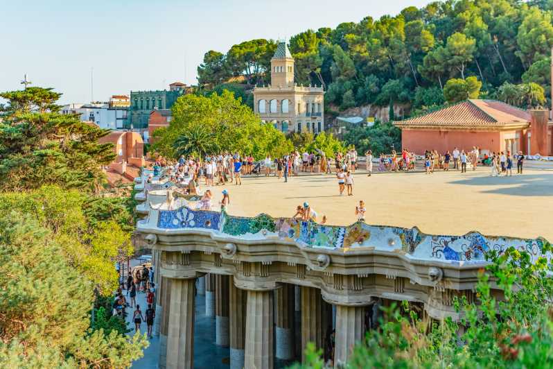 Barcelona: Park Güell Guided Tour & Priority Access - Priority access: what skipping the lines actually buys you