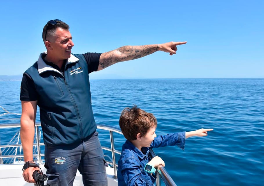 Benalmadena: Dolphin Watching Boat Tour - Costa del Sol Dolphin Watching From Benalmádena: The Setup That’s Easy