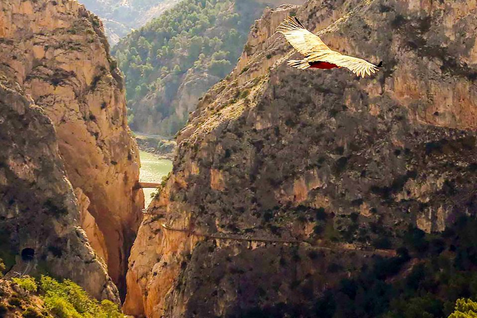 Caminito del Rey: Entry Ticket - Price and Value: The €17 Ticket Plus the Costs That Matter