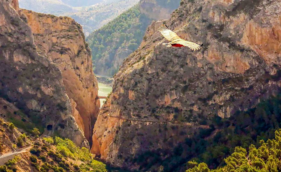 Caminito del Rey: Entry Ticket and Guided Tour - The one-way walk from Ardales to El Chorro: safety gear meets sheer exposure