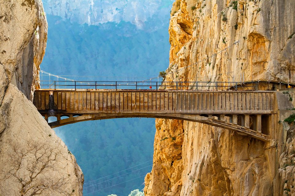 Caminito del Rey: Guided Tour and Entry Ticket - Nature notes inside the Biosphere Reserve