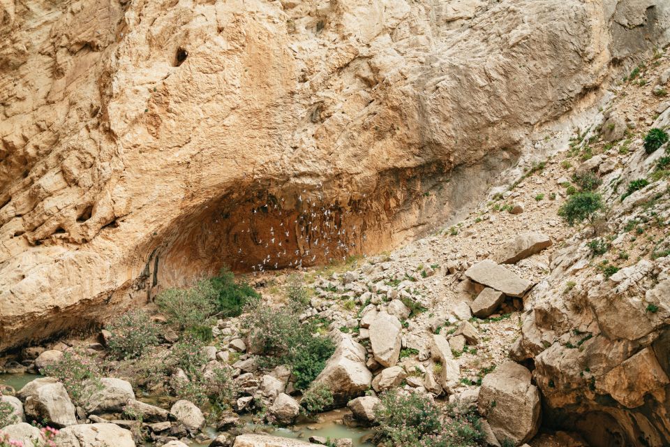 Caminito del Rey: Tickets, Guided Tour, Shuttle & Water - Who should book this tour (and who shouldn’t)