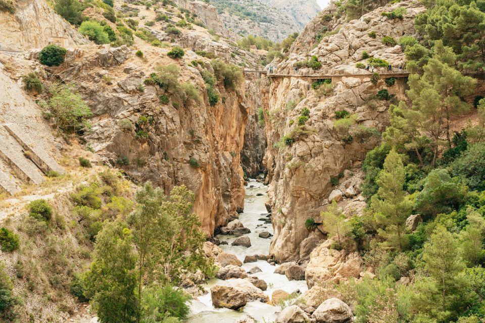 Caminito del Rey: Tickets, Guided Tour, Shuttle & Water - What this feels like on the ground: organization, guide style, and safety