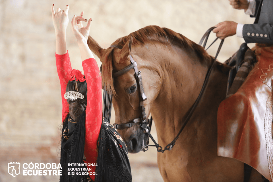 Cordoba: Equestrian Show General Entry - Royal Stables of Córdoba: the setting makes the performance feel real