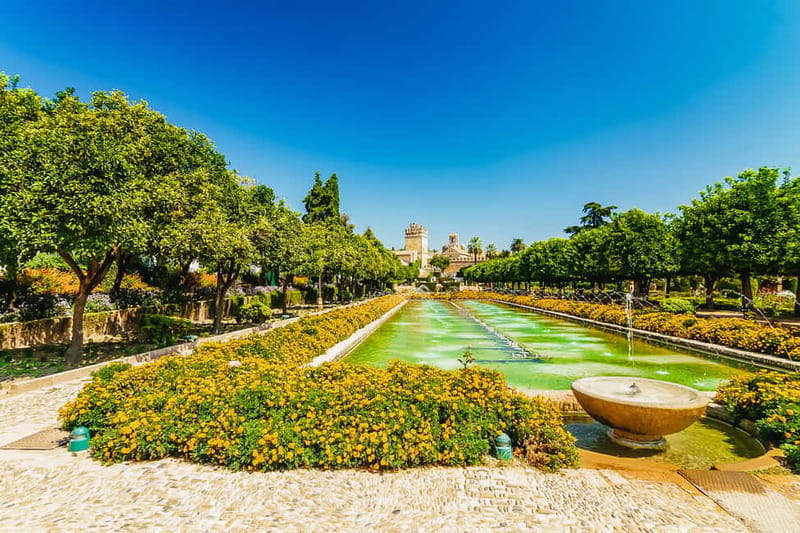 Córdoba: Jewish Quarter, Mosque, and Alcázar Tour - Price and time: why $48 can feel fair for this lineup