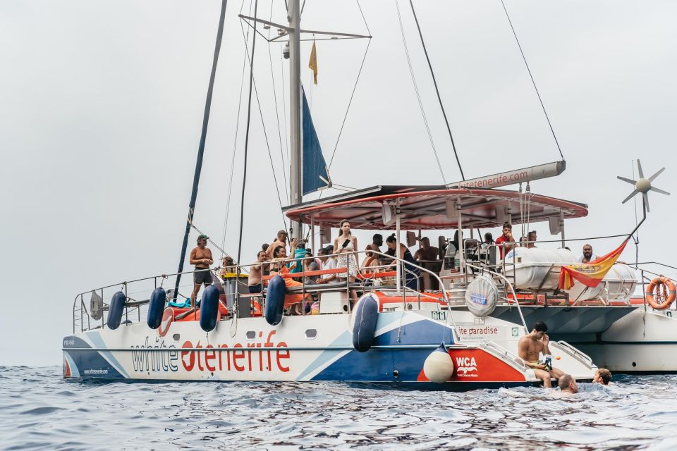 Costa Adeje: Whale & Dolphin Eco-Cruise with Snacks & Drinks - The cruise out: Teide, coastal passes, and spotting practice