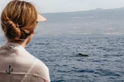 Costa Adeje: Whale & Dolphin Eco-Cruise with Snacks & Drinks - Dock 8 Puerto Colón: what the start feels like