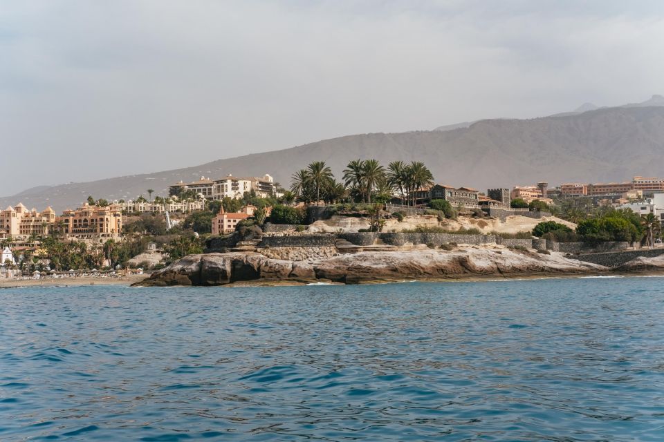 Costa Adeje: Whale & Dolphin Eco-Cruise with Snacks & Drinks - Food and drinks: snacks that keep the day moving