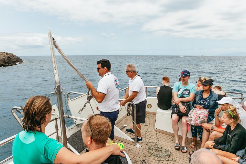 Costa Adeje: Whale & Dolphin Submarine Vision Mini Cruise - Who this cruise suits best