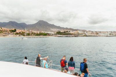Costa Adeje: Whale & Dolphin Submarine Vision Mini Cruise - Dock 12 in Puerto Colón: getting a good seat fast