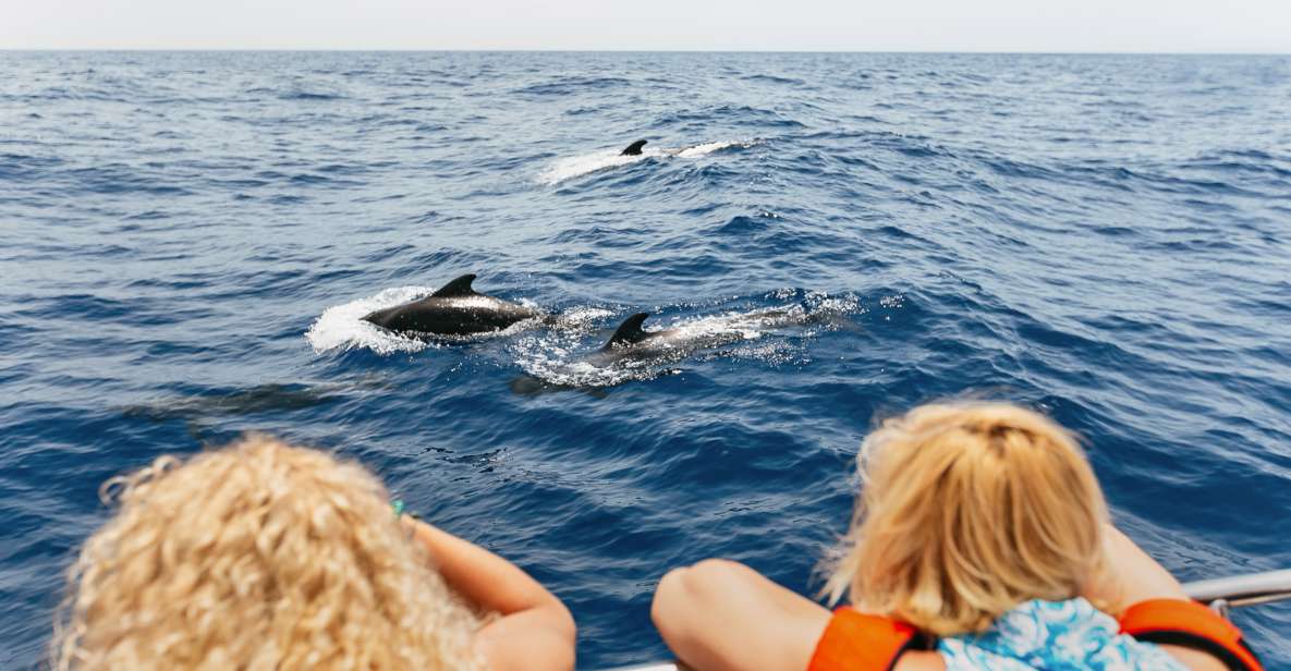 Costa Adeje: Whale Watching Catamaran Tour with Drinks - Puerto Colón: why pilot whales show up here