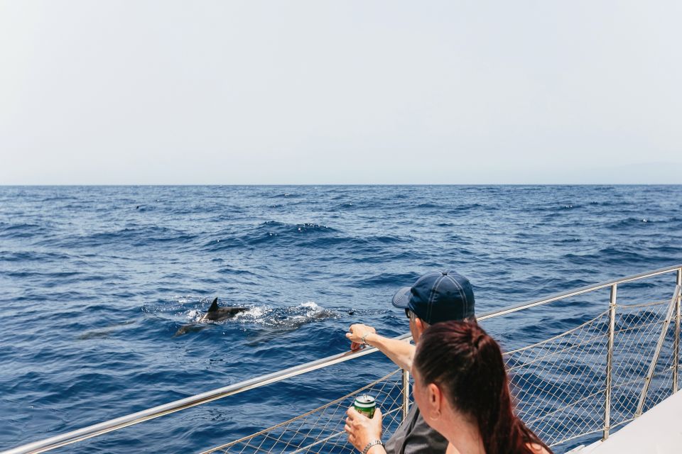 Costa Adeje: Whale Watching Catamaran Tour with Drinks - How the crew searches without chasing the whales