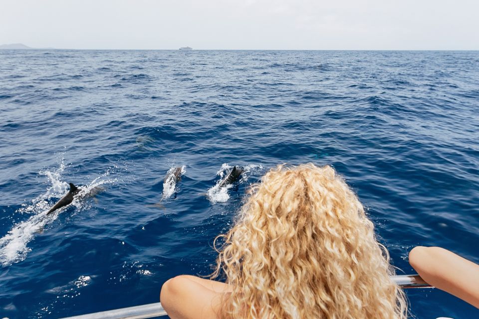 Costa Adeje: Whale Watching Catamaran Tour with Drinks - The marine trivia you’ll actually remember (because it’s tied to what you see)