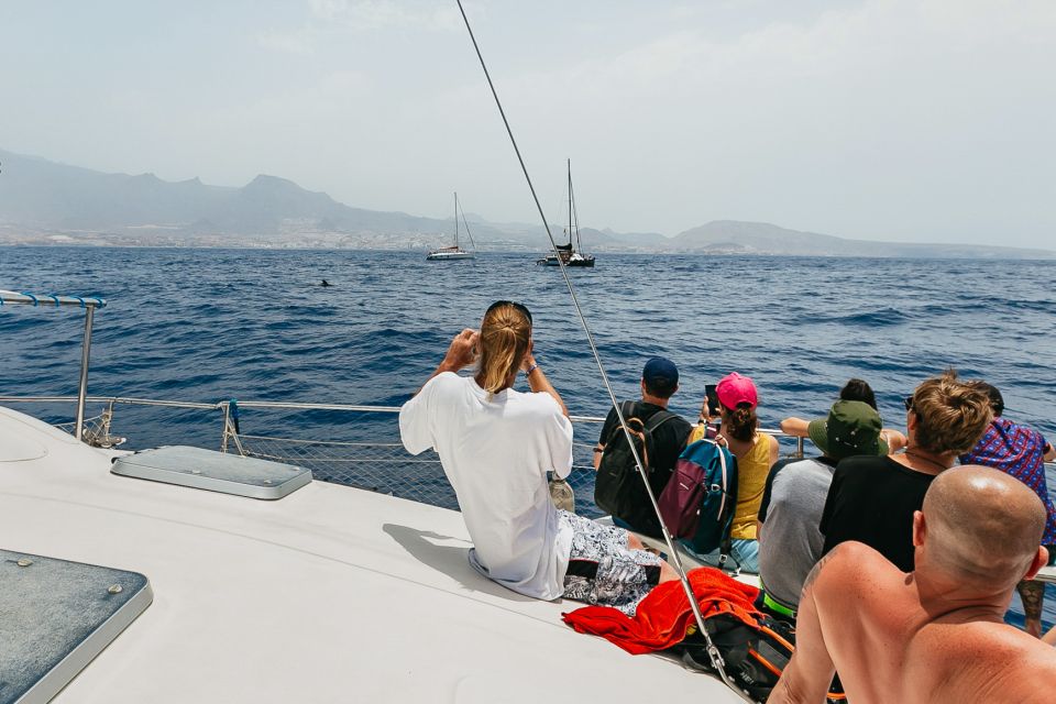 Costa Adeje: Whale Watching Catamaran Tour with Drinks - Should you book this whale watching catamaran from Costa Adeje?